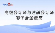 (2025)高级会计师和注册会计师哪个厉害(高级会计师和注册会计师哪个厉害些)